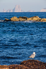 Espalmador Island, Estret des Pas, Es Trucadors , Formentera, Pitiusas Islands, Balearic Community,...