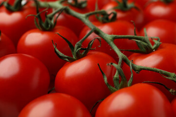 Fresh cherry tomato on whole background, close up