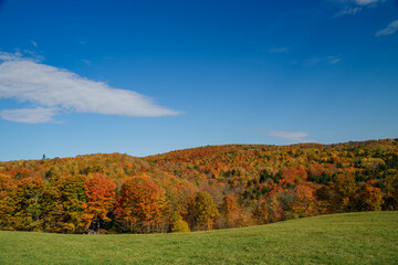 Naklejka na ściany i meble A beautiful view of the foliage on a sunny autumn afternoon in Vermont, United States