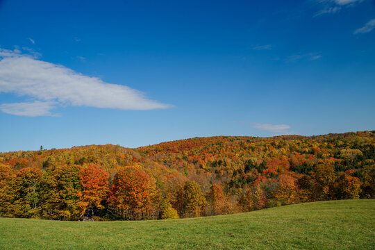A beautiful view of the foliage on a sunny autumn afternoon in Vermont, United States