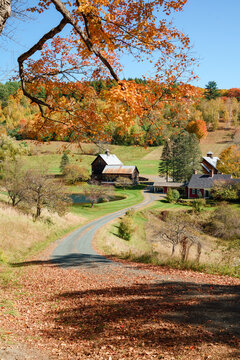 The long and winding road leading to the old farm house sitting quietly beside the hill which was full of colorful foliage. 