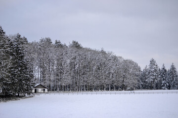 Chalet dans les bois enneig&eacute;s