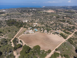 Cap de Barbaria wineries Formentera, Pitiusas Islands, Balearic Community, Spain