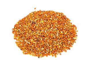 pile of chumiza siberian millet seeds on white