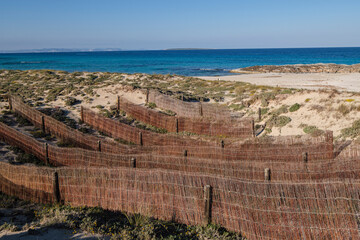 Fototapeta premium barriers for dune protection, Llevant beach, Ses Salines d’Eivissa i Formentera Natural Park, Formentera, Pitiusas Islands, Balearic Community, Spain