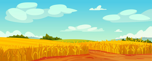 Rural summer landscape, field of ripe wheat on hills and dales, rural landscape trees, forest panorama on background. Organic grain, rye or oats cereal plants, malts abundance fertility, agriculture © Sensvector