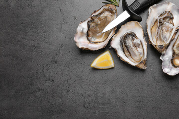 Fresh oysters with lemon, rosemary and knife on grey table, flat lay. Space for text