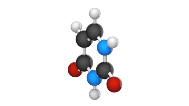Uracil. Nitrogenous base molecular structure (DNA and RNA parts). Formula: C4H4N2O2. 3D render. Seamless loop. Chemical structure model: Ball and Stick. White background