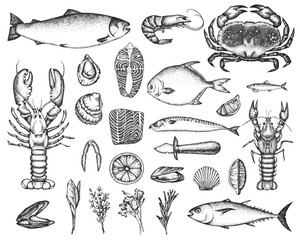 Big set with seafood-drawn graphics. Oysters, mussels, lemon, crab, lobster, salmon, herbs. For menus, postcards, posters and fish restaurant