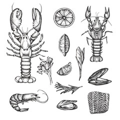 Set with graphics-drawn seafood. Cancer, lobster, herbs, lemon, shrimp, mussels, fish fillets. For menus, postcards, posters and fish restaurant