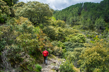 Fototapeta na wymiar Man Hiking. Stock Photo Of A Man Hiking In Las Hurdes North Of Cáceres-Spain.