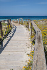 Es Cavall den Borras beachs, Formentera, Pitiusas Islands, Balearic Community, Spain
