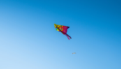 The kite flies away from the seagull in the sky