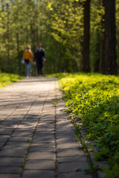 Couple of people walking along the path in the park in spring