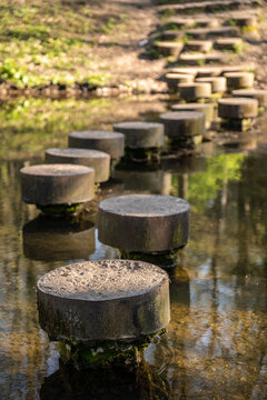 Crossing the river of stones in the forest