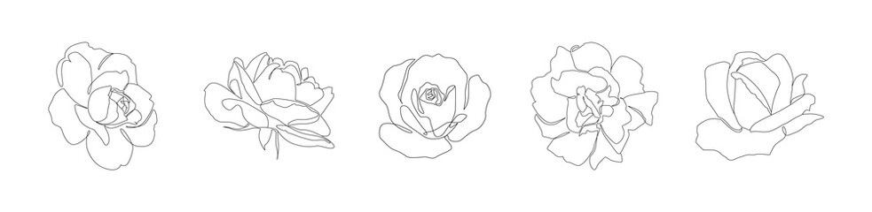 Set of beautiful minimalist continuous line flowers on white background in vector. Line art floral illustration with roses for print, tattoo, card and more