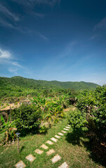 Fototapeta na wymiar organic tropical fruit farm plantation scenic view near kampot cambodia