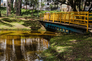 bridge in the park