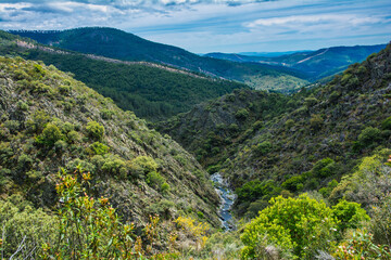 Fototapeta premium Majestic Landscape Of Forest And Mountains. Landscape Of Sierra De Gata Located North Of Caceres In Extremadura-Spain. Landscape Concept