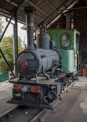 Fototapeta na wymiar Serbia - Narrow gauge railway steam locomotive at Mokra Gora Station
