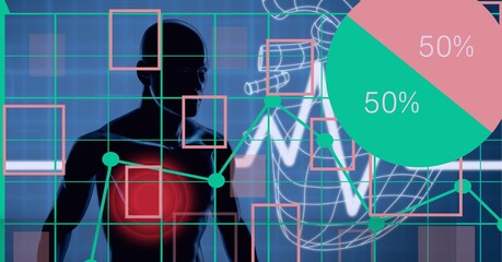 Pie chart over heart rate monitor and human heart against human body model on blue background