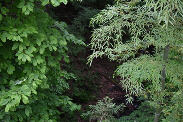 日本　群馬　八ッ場ダムの傍　猿橋　5月の風景