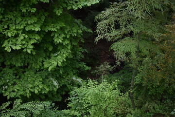 日本　群馬　八ッ場ダムの傍　猿橋　5月の風景