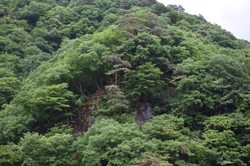 日本　群馬　八ッ場ダムの傍　猿橋　5月の風景