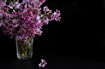 lilac in vase