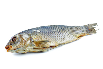Cured carp fish isolated on a white background