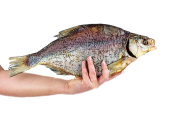 Hand hold giant cured bream fish isolated on a white background