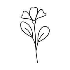 flower and leafs drawn