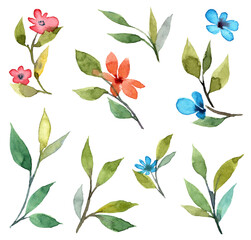 Set of hand painted watercolor abstract florals