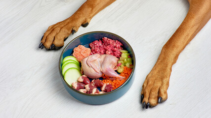 Raw natural dog food. Fresh meat and vegetables in bowl and dog paws on white background. BARF dog...
