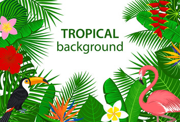 tropical jungle rainforest plants flowers birds, flamingo , toucan border background.