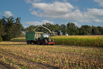 Obraz premium Agrarfoto - Maisernte für Futter-Maissilage, Maishäcksler im Einsatz