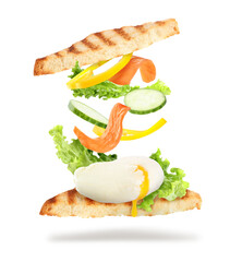 Delicious sandwich with flying ingredients on white background