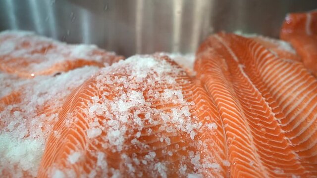 Closeup of industrial salting and preparation of salmon fish fillets - Salt falling down to fish in slow motion