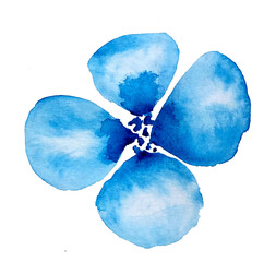 Handdrawn watercolor set of blue flowers with leafs