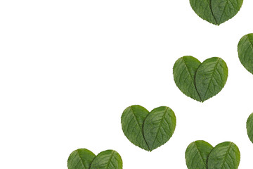 Pattern with green heart shaped leaf. Love nature concept. Theme of ecology, environment