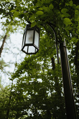 Street lamp