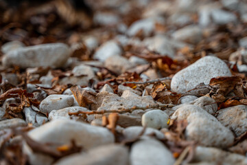 Natural background of stones among dry leaves