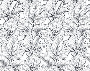 Vector seamless pattern with hand drawn herbs and leaves