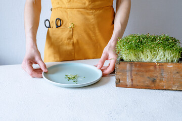  Coriander sprouts on a plate. woman preparing healthy food at home. High quality photo