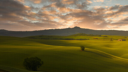 Obraz premium Colline Toscane