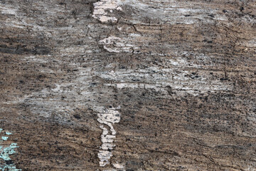 aged and rough wood, with small traces of paint, texture background.