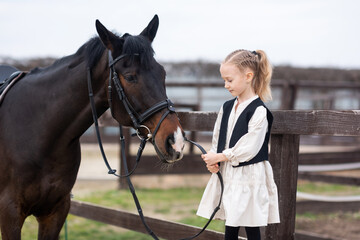 Fototapeta premium A 6-7 year old girl is stroking a horse and wants to feed him, holding a horse by the bridle. Equestrian sports for children