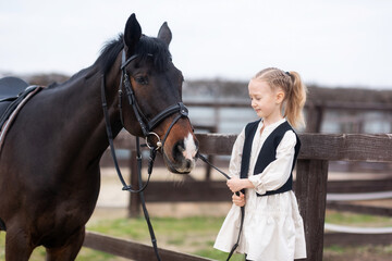 Obraz premium A 6-7 year old girl is stroking a horse and wants to feed him, holding a horse by the bridle. Equestrian sports for children