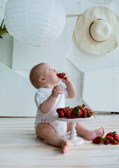 little boy eats strawberries on a white background with a space for text. Summer berry season