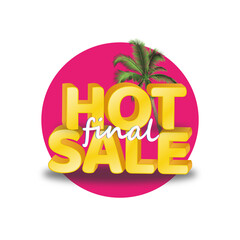 Hot Final Sale 3D Text with white background for Summer seasonal promotions.